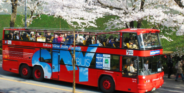 日本東京觀光天空巴士票（電子票）