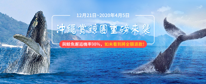 2020沖繩賞鯨